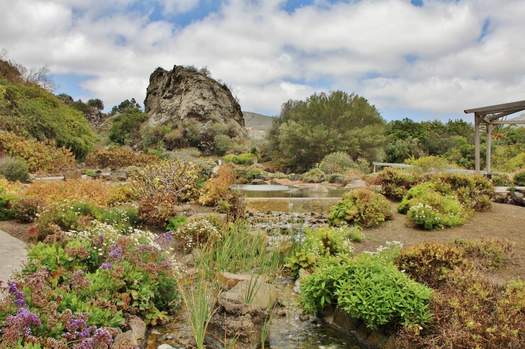 Foto: Jardín botánico Viera y Clavijo - Tafira Alta (Gran Canaria) (Las Palmas), España