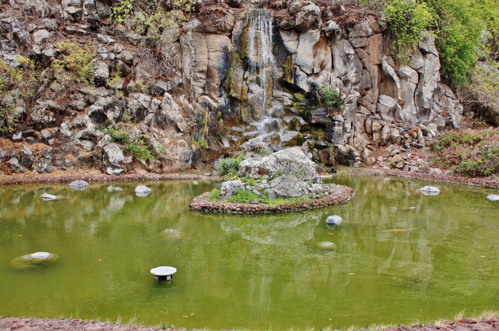 Foto: Jardín botánico Viera y Clavijo - Tafira Alta (Gran Canaria) (Las Palmas), España