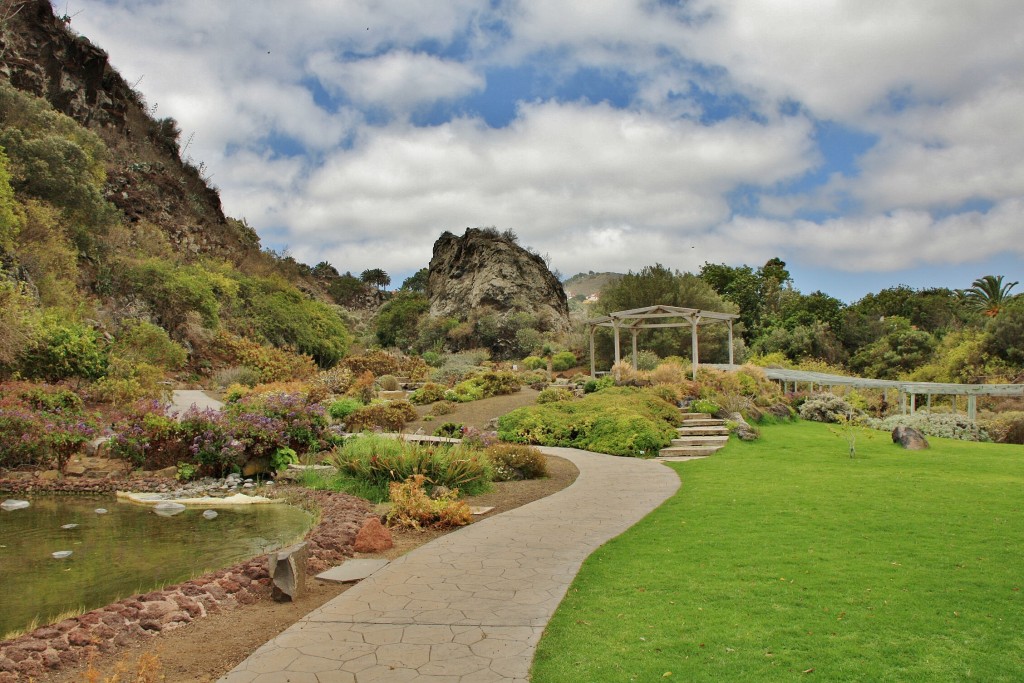 Foto: Jardín botánico Viera y Clavijo - Tafira Alta (Gran Canaria) (Las Palmas), España