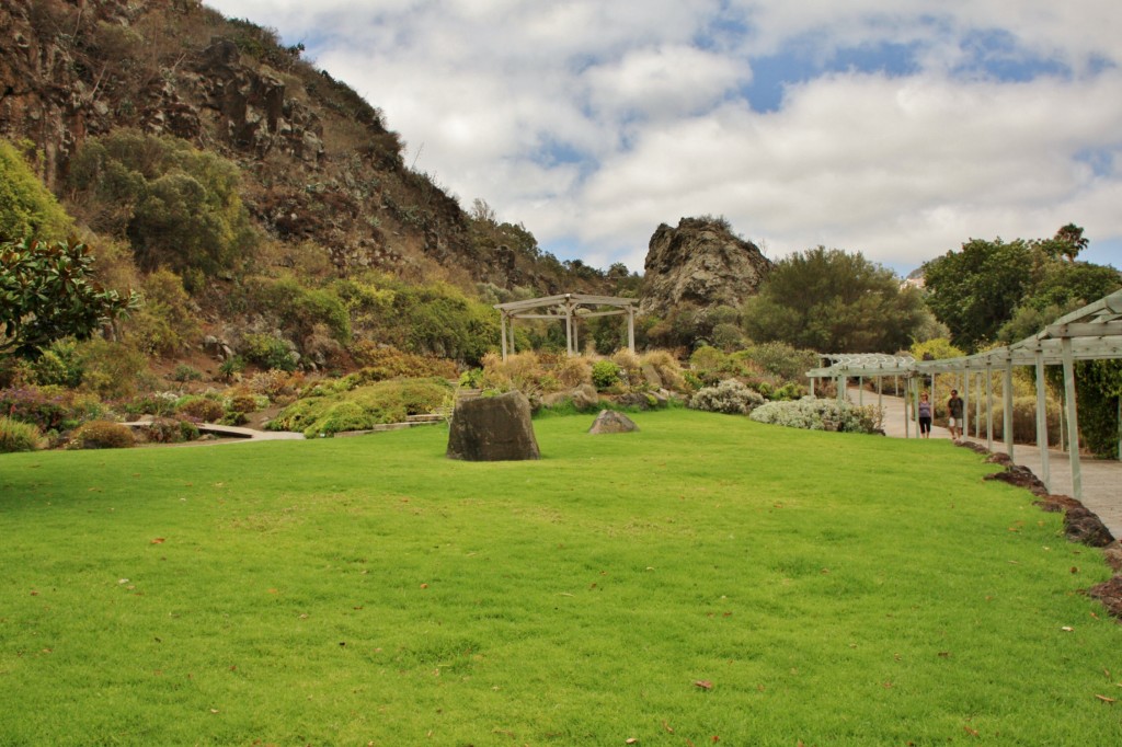 Foto: Jardín botánico Viera y Clavijo - Tafira Alta (Gran Canaria) (Las Palmas), España