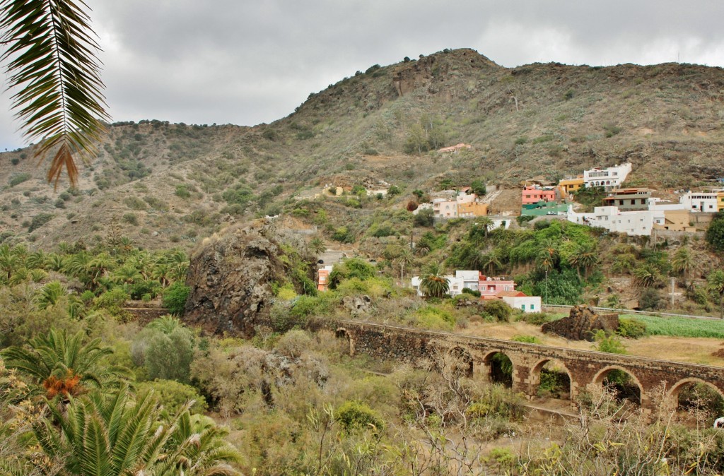 Foto: Jardín botánico Viera y Clavijo - Tafira Alta (Gran Canaria) (Las Palmas), España