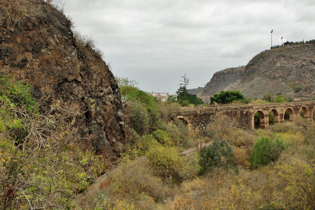 Foto: Jardín botánico Viera y Clavijo - Tafira Alta (Gran Canaria) (Las Palmas), España