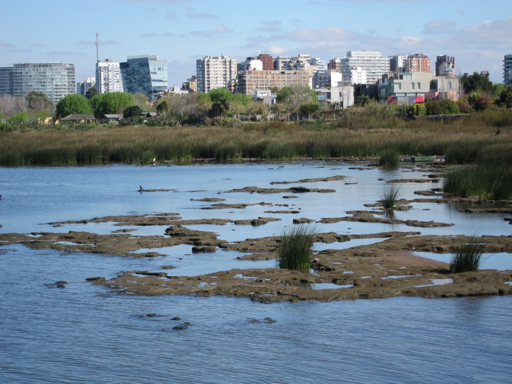 Foto: Paseo costero - Olivos (Buenos Aires), Argentina