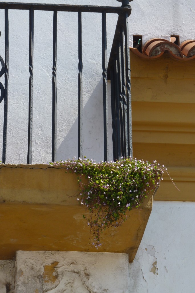 Foto: Museo - Luján (Buenos Aires), Argentina