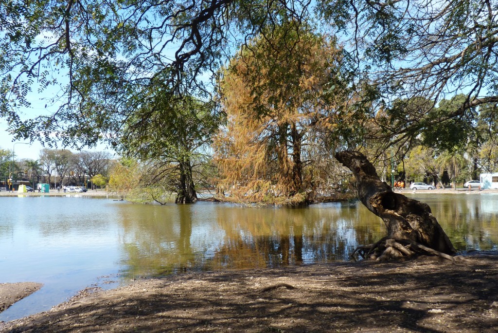 Foto: Parque Tres de Febrero - Ciudad de Buenos Aires (Buenos Aires), Argentina