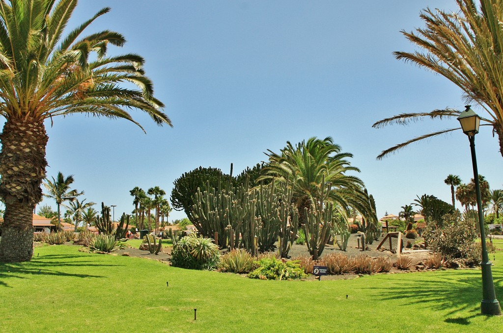 Foto: Castillo Caleta de Fuste - Antigua (Fuerteventura) (Las Palmas), España