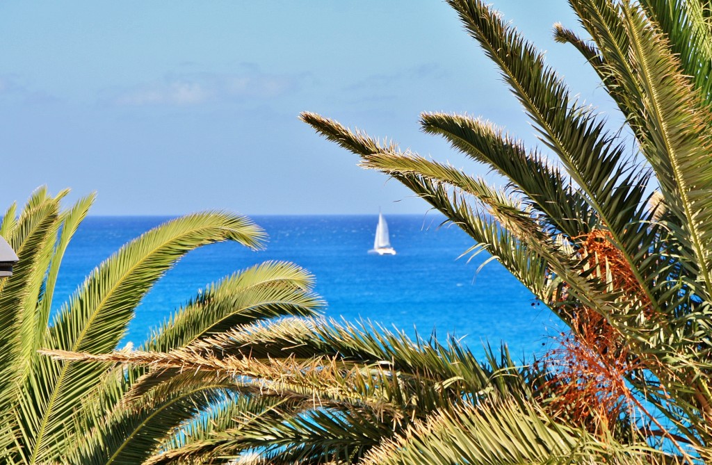 Foto: Paisaje - Morro Jable (Fuerteventura) (Las Palmas), España