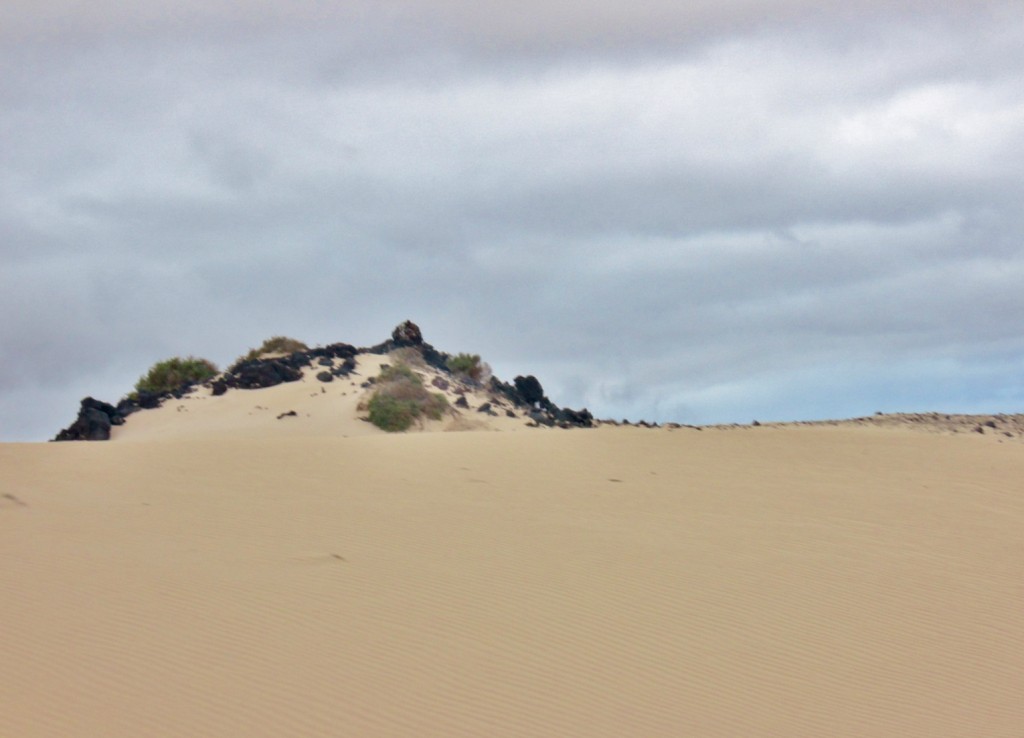 Foto: Paisaje - Corralejos (Fuerteventura) (Las Palmas), España