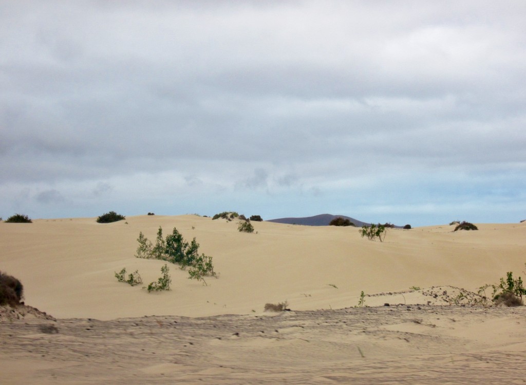 Foto: Paisaje - Corralejos (Fuerteventura) (Las Palmas), España