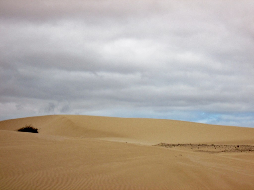 Foto: Paisaje - Corralejos (Fuerteventura) (Las Palmas), España