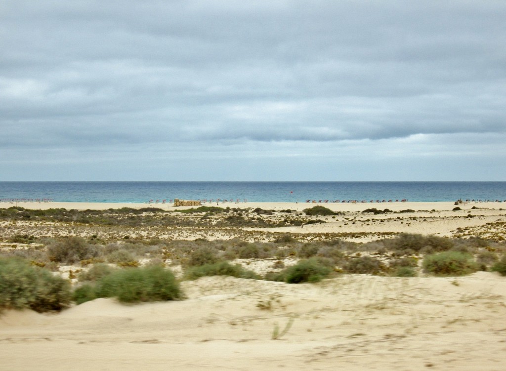 Foto: Paisaje - Corralejos (Fuerteventura) (Las Palmas), España