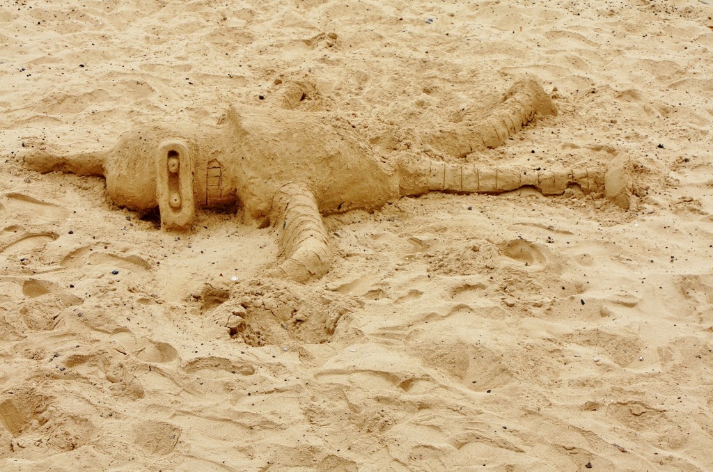 Foto: Playa - Corralejos (Fuerteventura) (Las Palmas), España