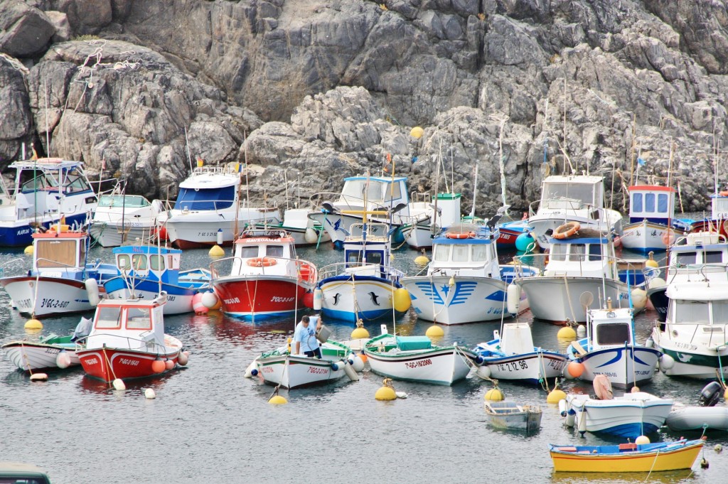 Foto: Puerto - El Cotillo (Fuerteventura) (Las Palmas), España