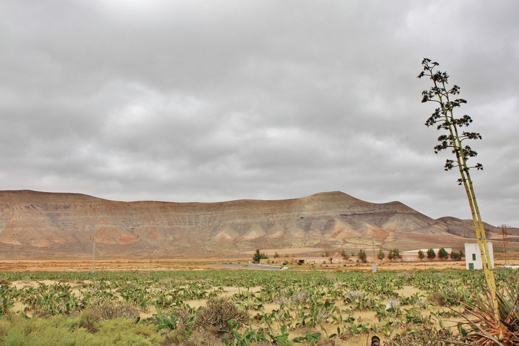 Foto: Paisaje - La Oliva (Fuerteventura) (Las Palmas), España