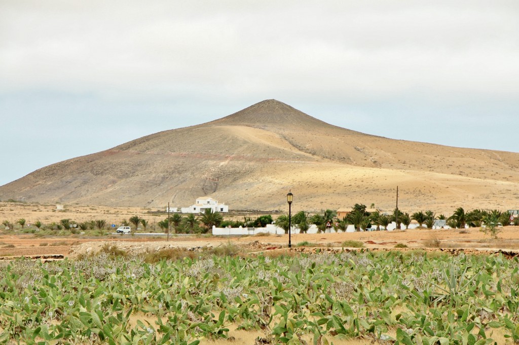 Foto: Paisaje - La Oliva (Fuerteventura) (Las Palmas), España