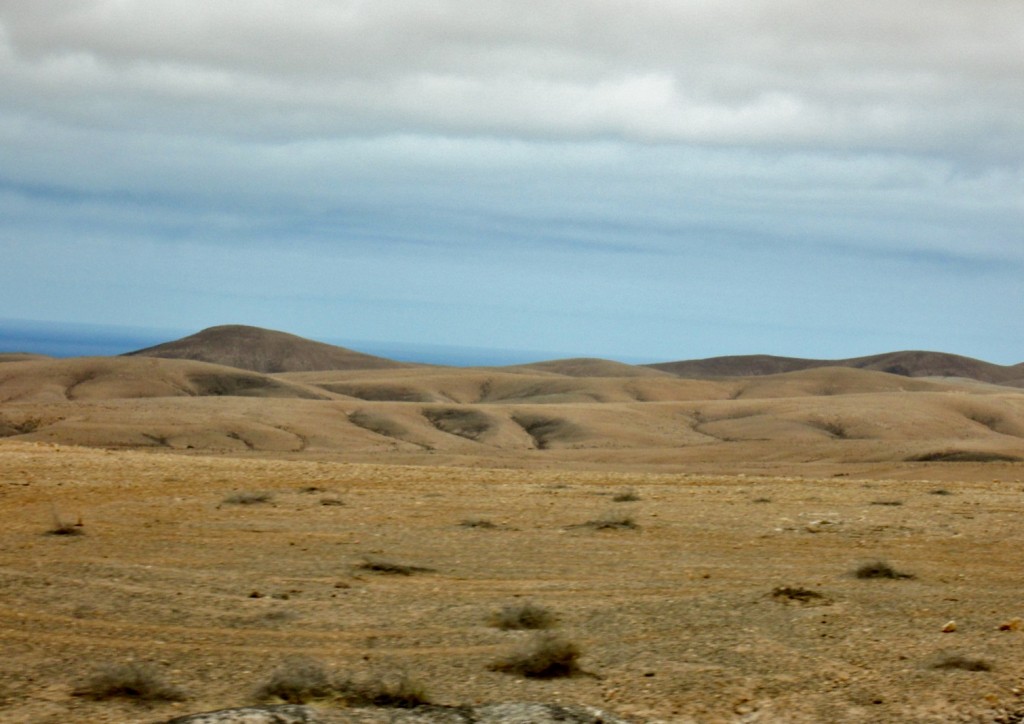 Foto: Paisaje - La Oliva (Fuerteventura) (Las Palmas), España