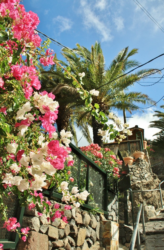 Foto: Vista del pueblo - Masca (Santa Cruz de Tenerife), España