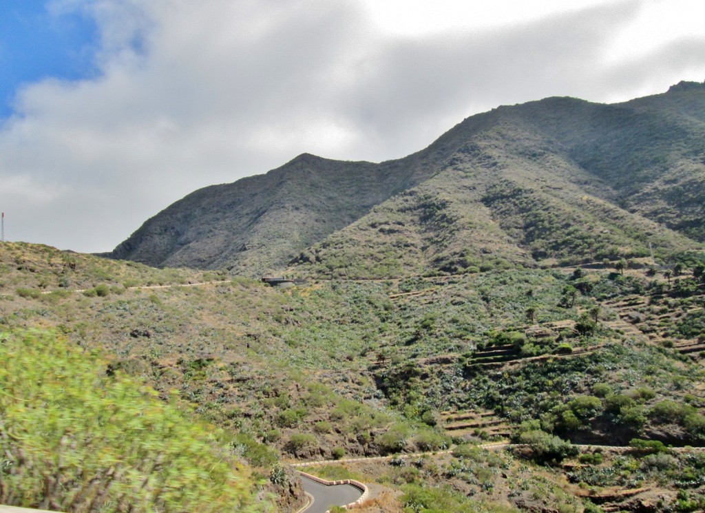 Foto: Paisaje - Masca (Santa Cruz de Tenerife), España