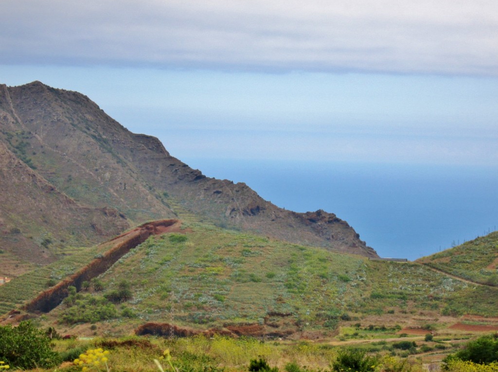 Foto: Paisaje - El Palmar (Santa Cruz de Tenerife), España