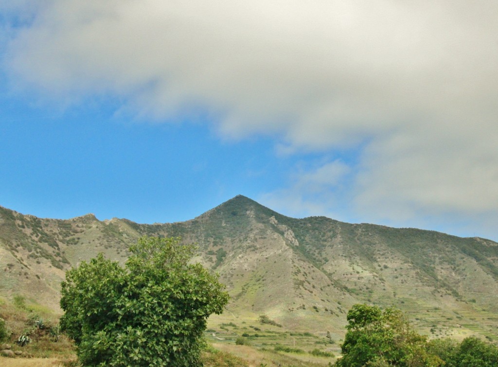 Foto: Paisaje - El Palmar (Santa Cruz de Tenerife), España