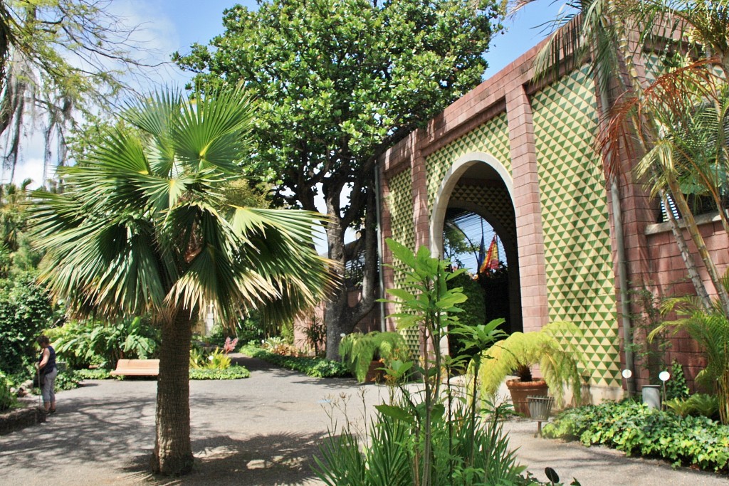 Foto: Jardin botanico - Puerto de la Cruz (Santa Cruz de Tenerife), España