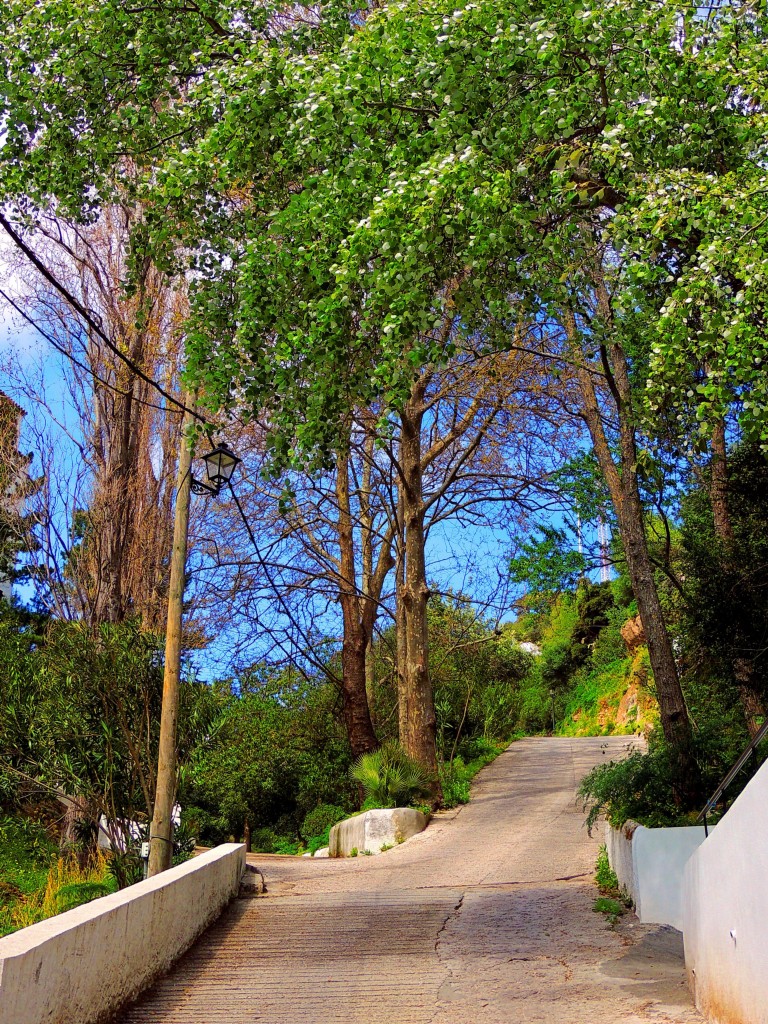 Foto de Casares (Málaga), España