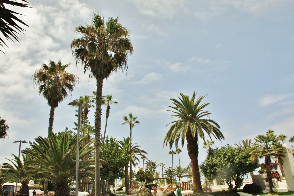 Foto: Vistas de la ciudad - Puerto de la Cruz (Santa Cruz de Tenerife), España