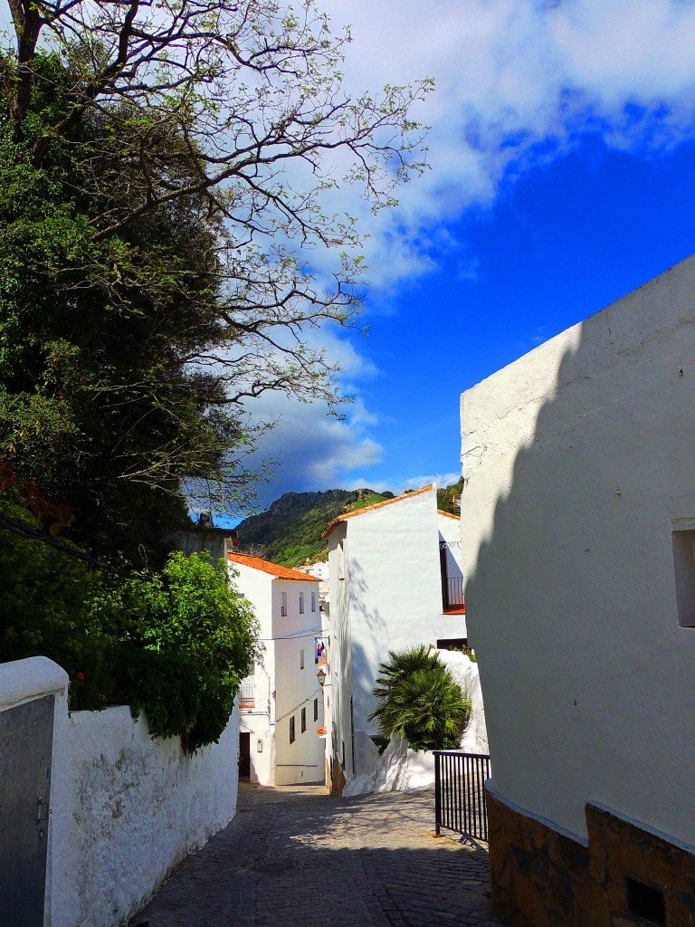 Foto de Casares (Málaga), España