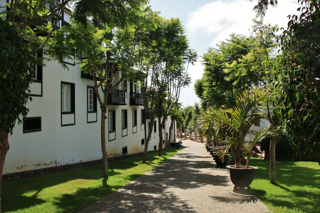 Foto: Vista del pueblo - Tacoronte (Santa Cruz de Tenerife), España