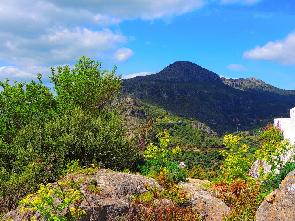 Foto de Casares (Málaga), España