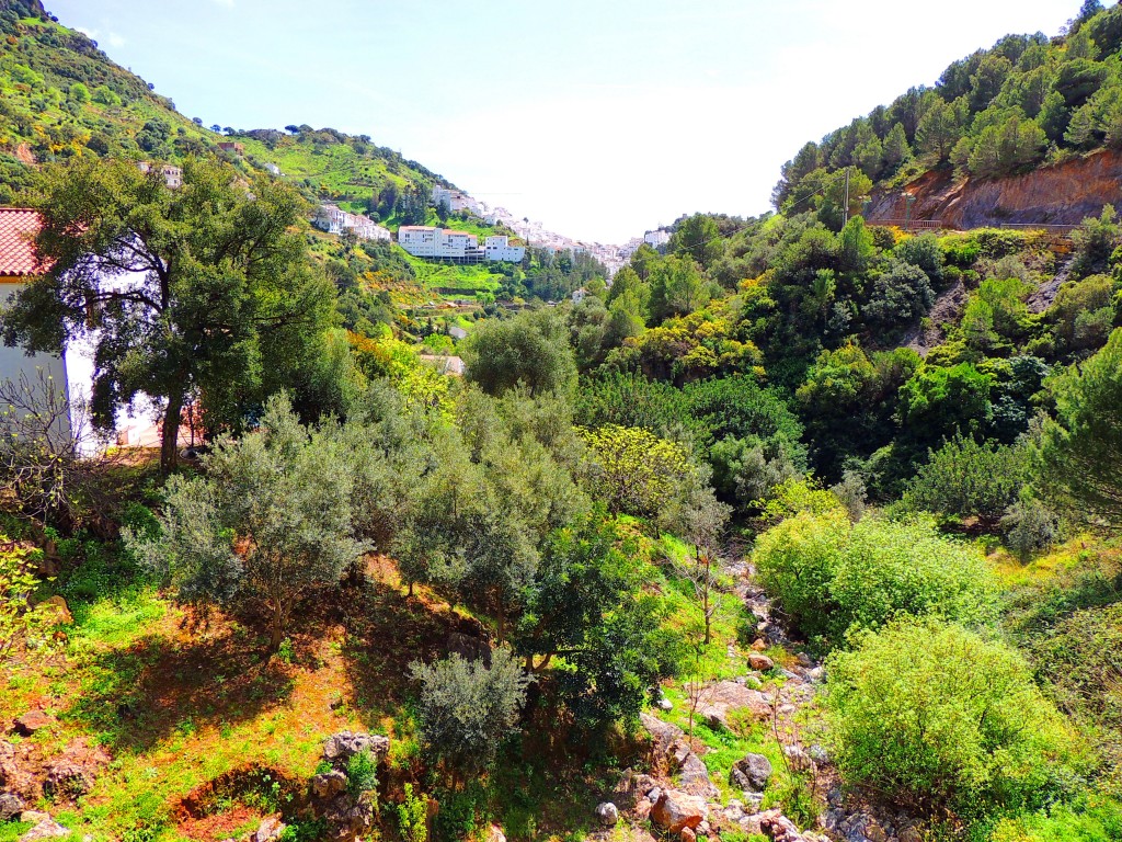 Foto de Casares (Málaga), España