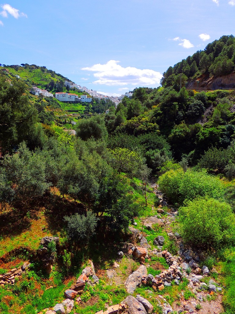 Foto de Casares (Málaga), España