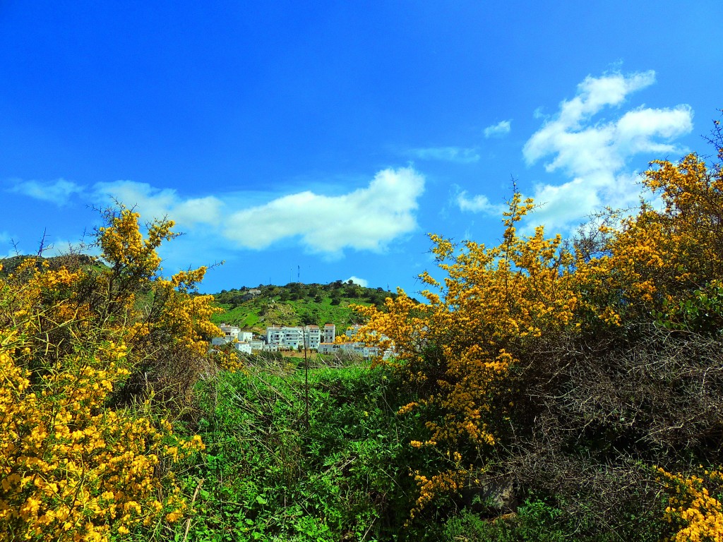 Foto de Casares (Málaga), España