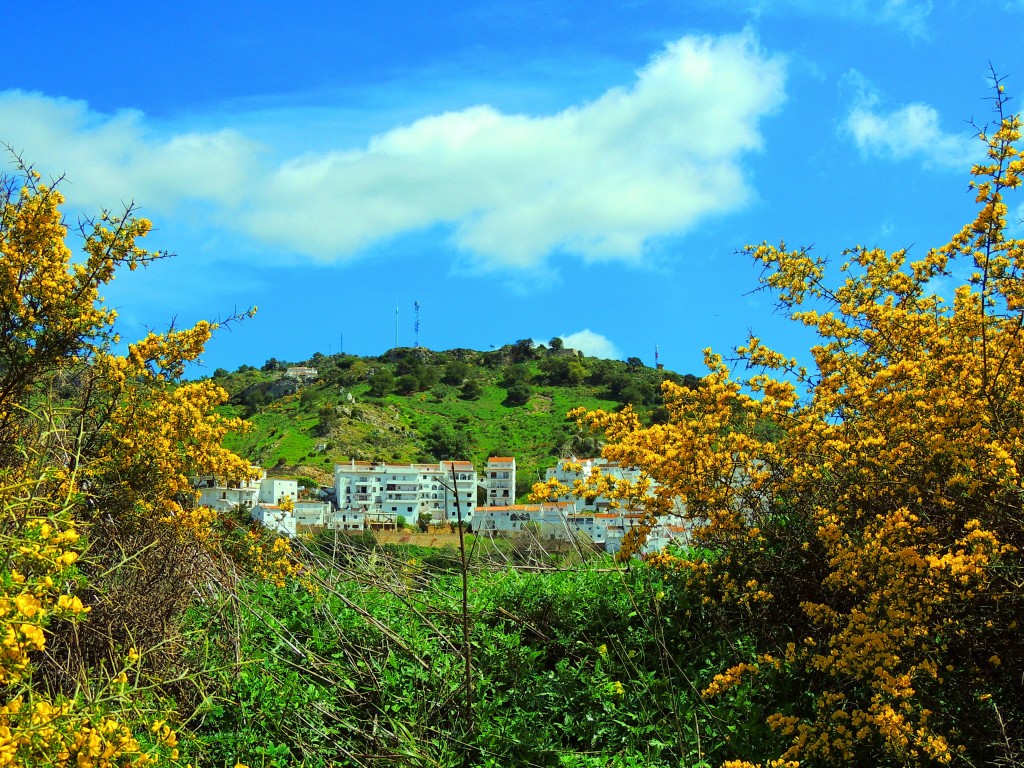 Foto de Casares (Málaga), España