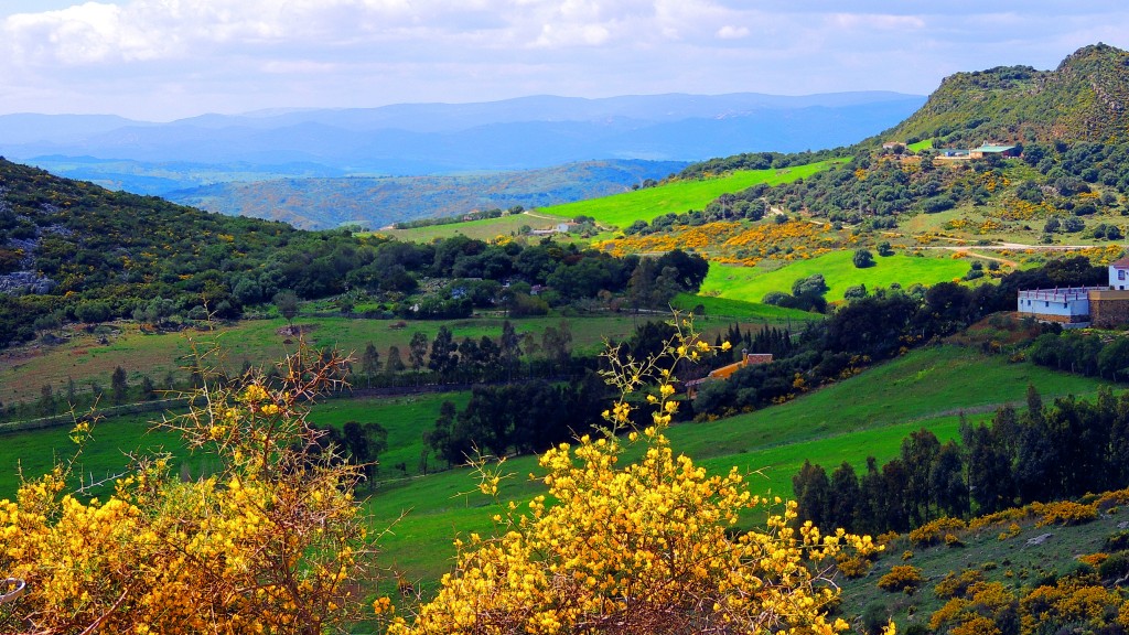 Foto de Casares (Málaga), España