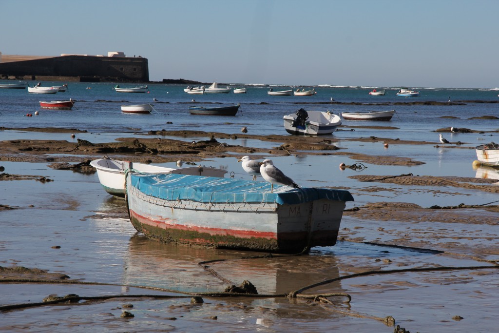 Foto de Cádiz (Andalucía), España