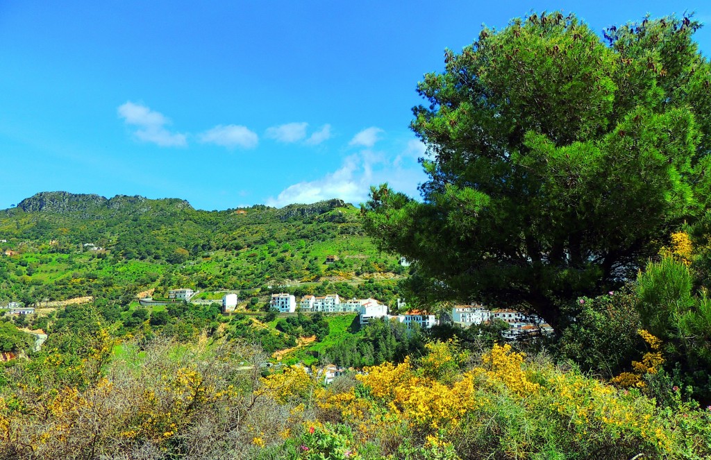 Foto de Casares (Málaga), España