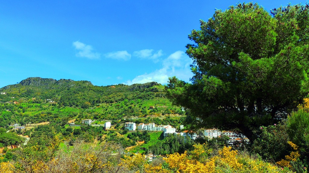 Foto de Casares (Málaga), España