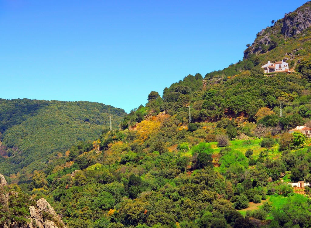 Foto de Casares (Málaga), España