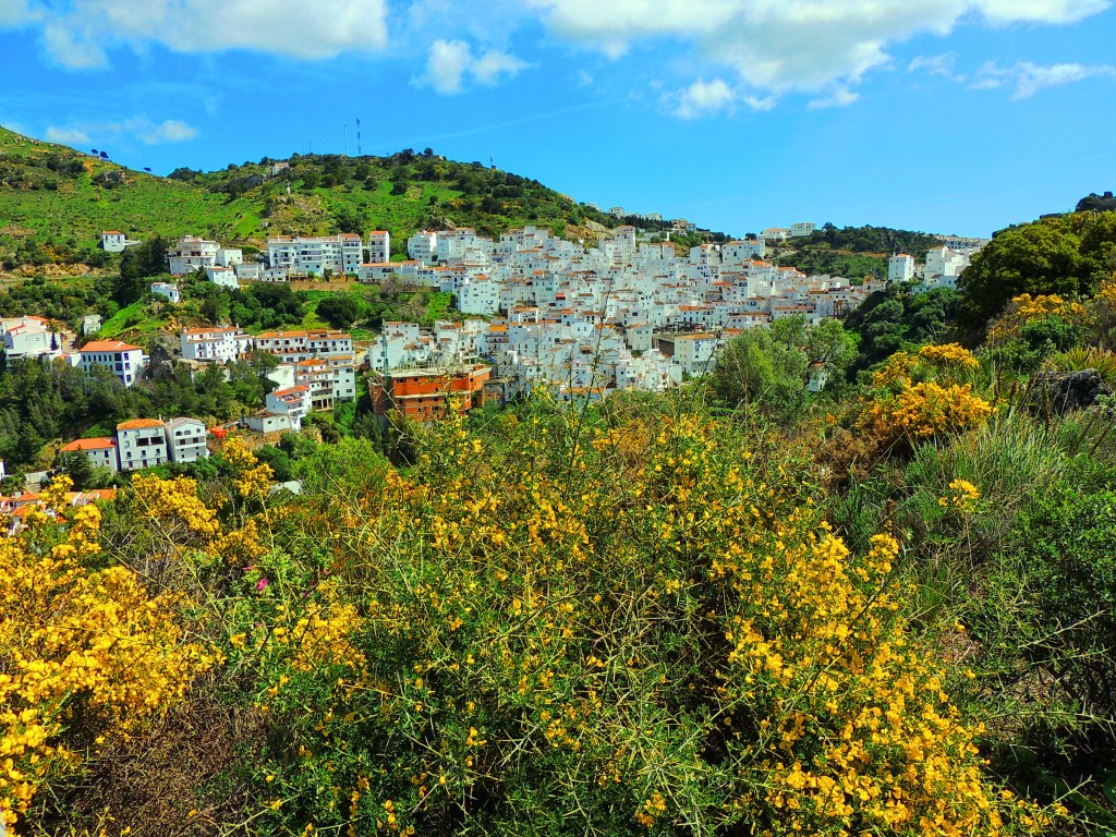 Foto de Casares (Málaga), España