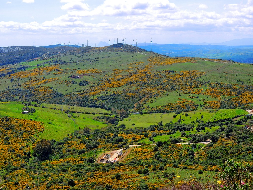 Foto de Casares (Málaga), España