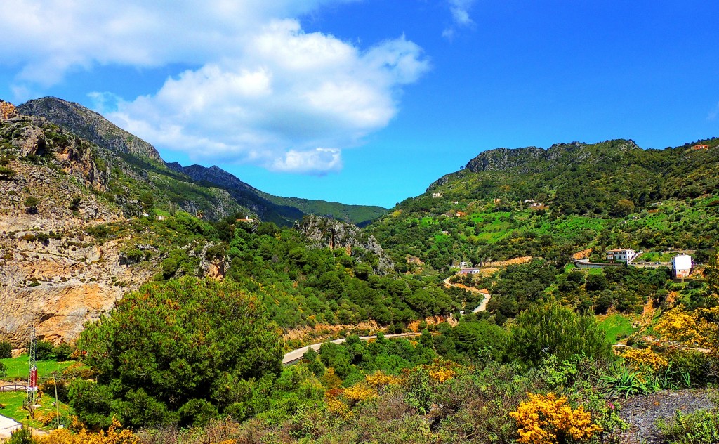 Foto de Casares (Málaga), España