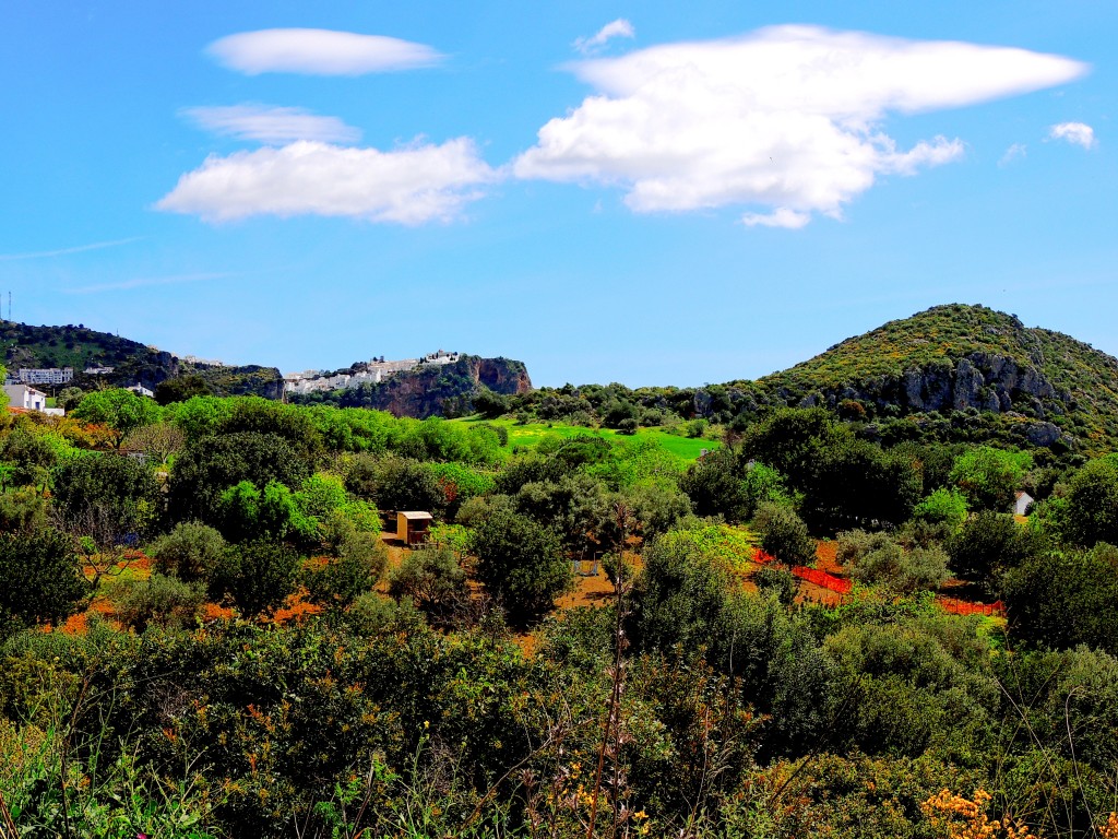 Foto de Casares (Málaga), España