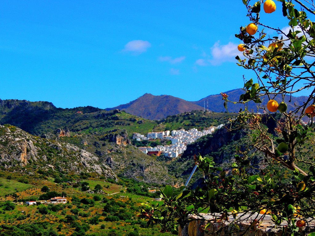 Foto de Casares (Málaga), España