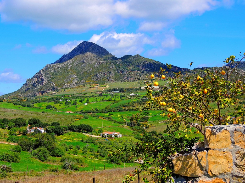 Foto de Casares (Málaga), España