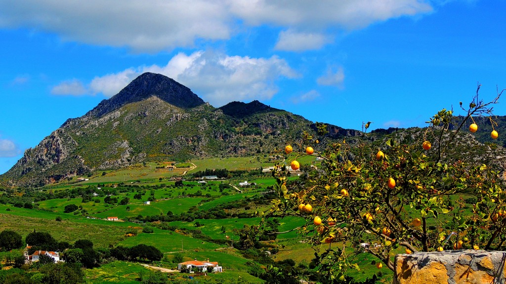 Foto de Casares (Málaga), España