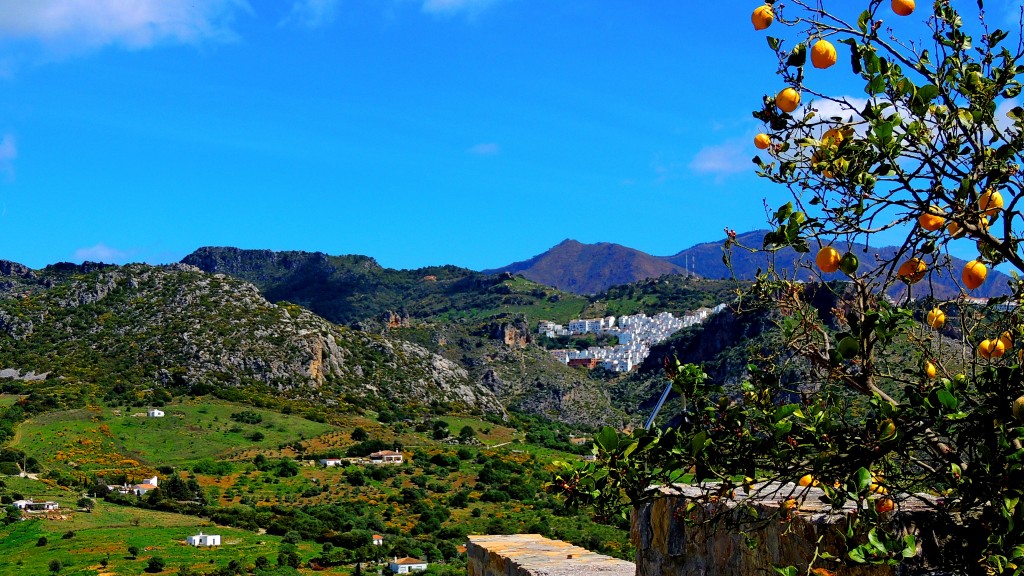 Foto de Casares (Málaga), España