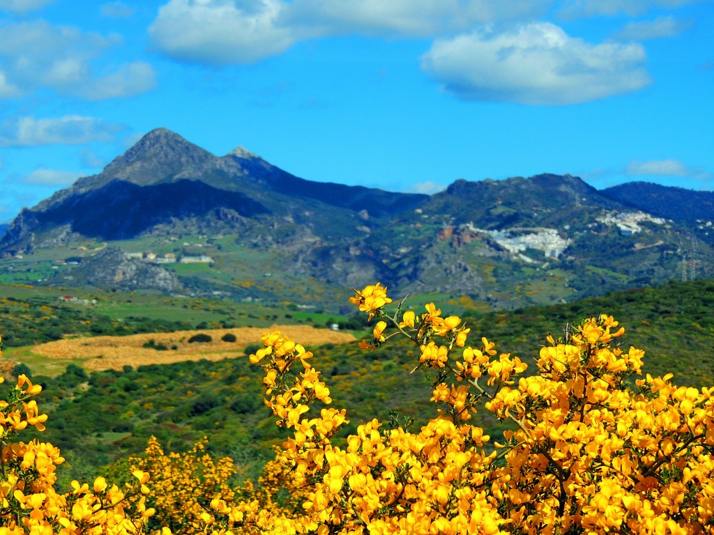 Foto de Casares (Málaga), España