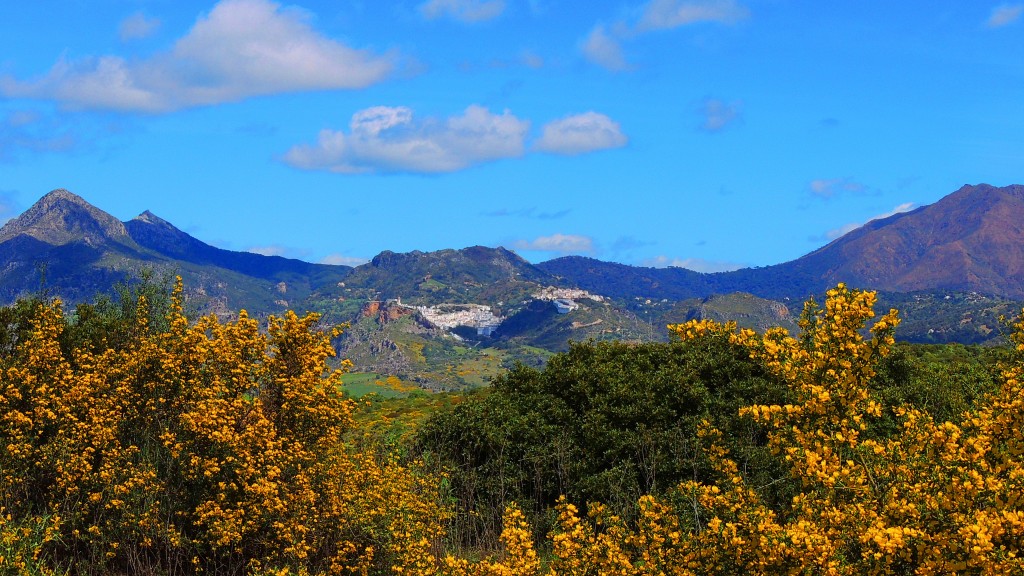 Foto de Casares (Málaga), España