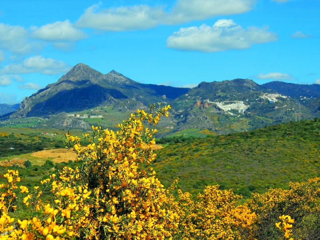 Foto de Casares (Málaga), España